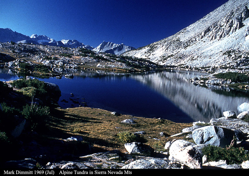 tundra lake